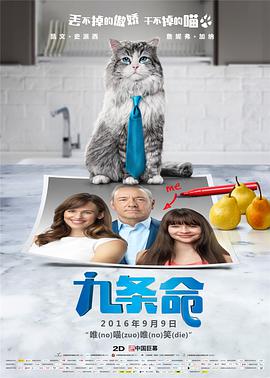 三三影院理伦片