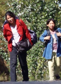 老司机入口