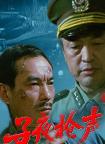 久久精品中文视频